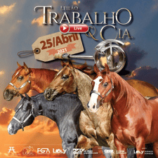 LIVE LEILÃO TRABALHO & CIA 2021