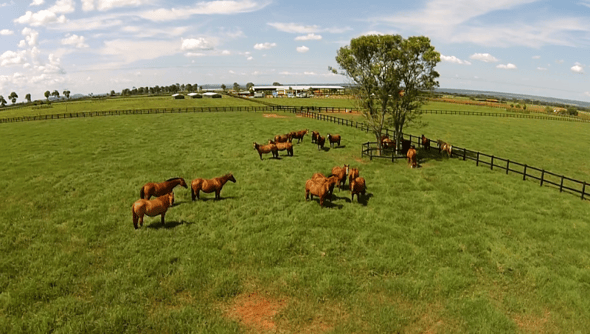 Fazenda Gruta Azul
