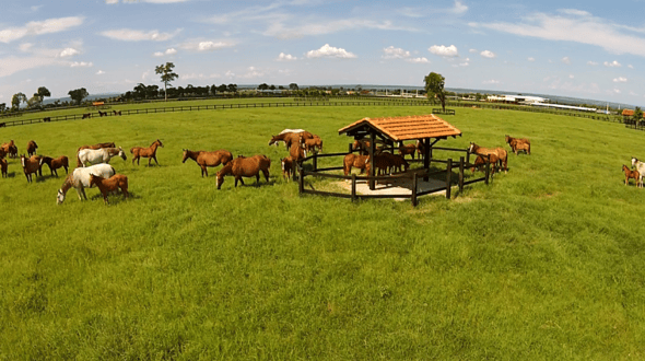 Fazenda Gruta Azul