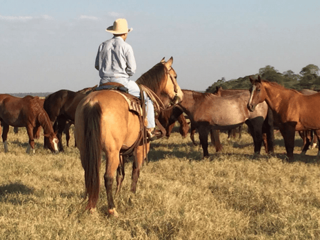 Fazenda Gruta Azul