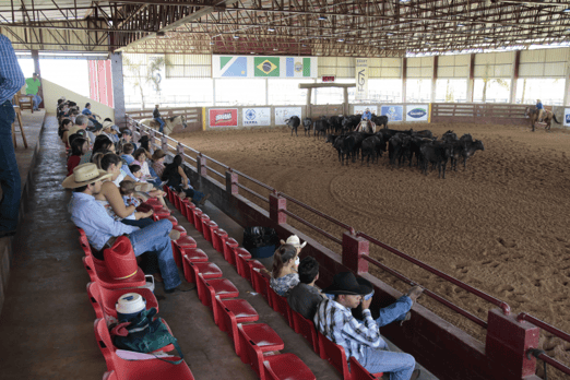 Derby & Derby Classic Gruta Azul