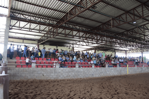 Derby & Derby Classic Gruta Azul