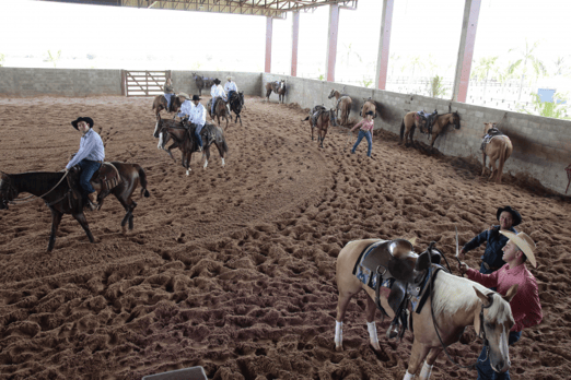 Derby & Derby Classic Gruta Azul