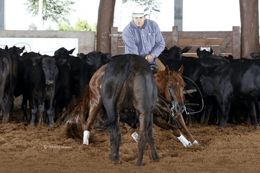 Derby & Derby Classic Gruta Azul 2017