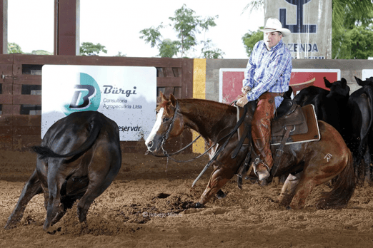 Derby & Derby Classic Gruta Azul 2017