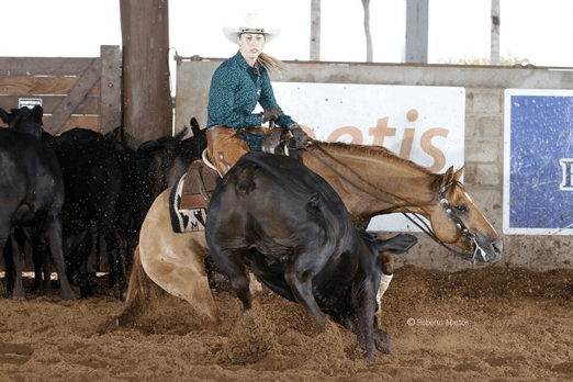 Derby & Derby Classic Gruta Azul 2017