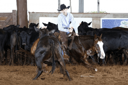 Derby & Derby Classic Gruta Azul 2017
