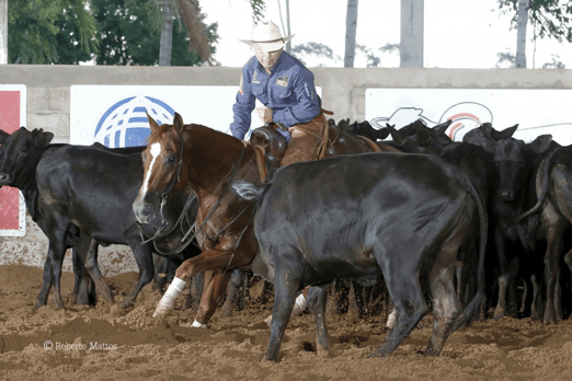 Derby & Derby Classic Gruta Azul 2017