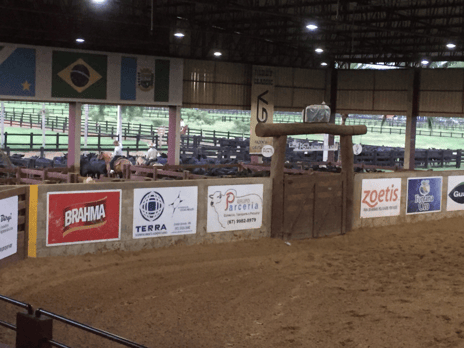 Derby & Derby Classic Gruta Azul 2017
