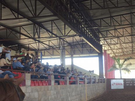 Derby & Derby Classic Gruta Azul 2017