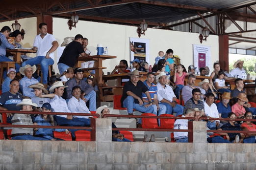 Derby & Derby Classic Gruta Azul 2017