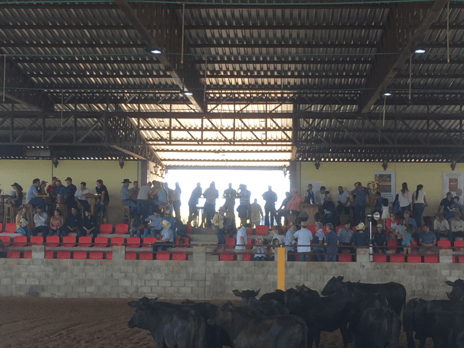 Derby & Derby Classic Gruta Azul 2017