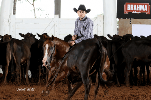 Derby & Derby Classic Gruta Azul 2018
