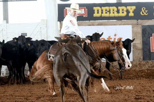 Derby & Derby Classic Gruta Azul 2018