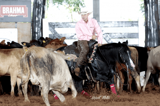 Derby & Derby Classic FGA 2019