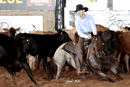 Derby & Derby Classic FGA 2019