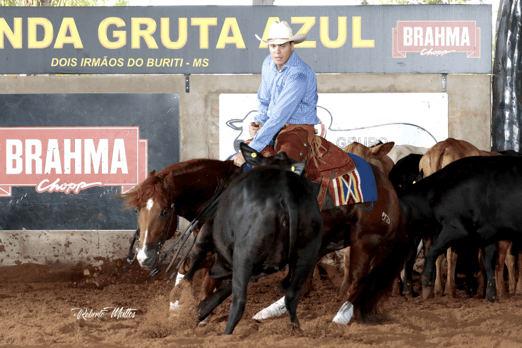 Derby & Derby Classic FGA 2019