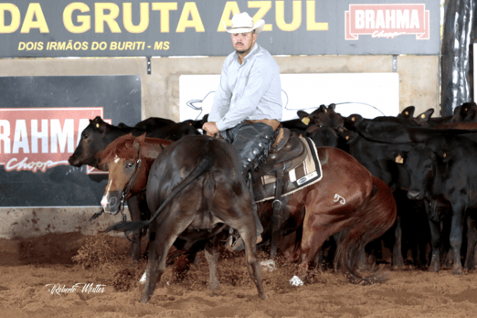 Derby & Derby Classic FGA 2019
