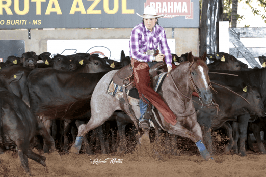 Derby & Derby Classic FGA 2019
