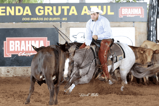 Derby & Derby Classic FGA 2019