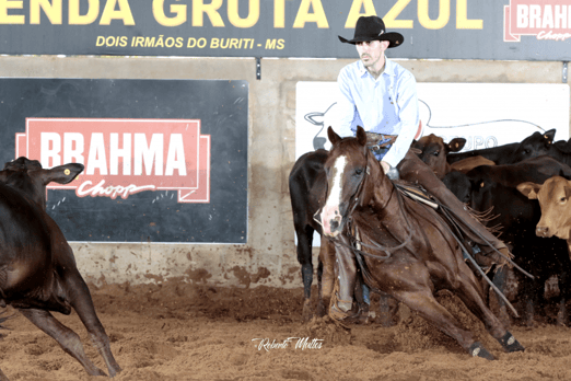 Derby & Derby Classic FGA 2019