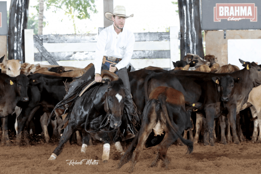 Derby & Derby Classic FGA 2019