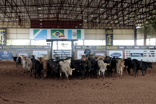 Derby & Derby Classic FGA 2019