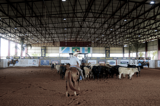 Derby & Derby Classic FGA 2019