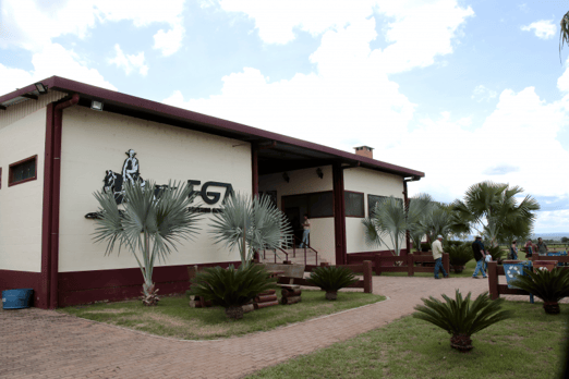 Derby & Derby Classic FGA 2019
