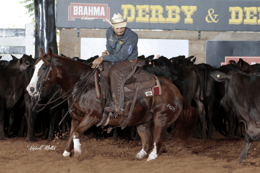 Derby & Derby Classic FGA 2019