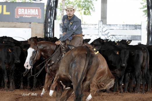 Derby & Derby Classic FGA 2019