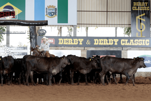 Derby & Derby Classic FGA 2019