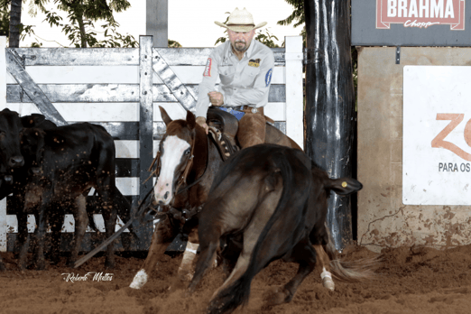 Derby & Derby Classic FGA 2019