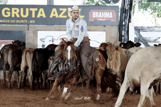 Derby & Derby Classic FGA 2019