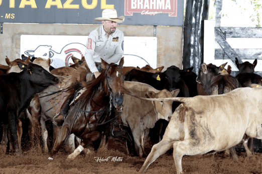 Derby & Derby Classic FGA 2019