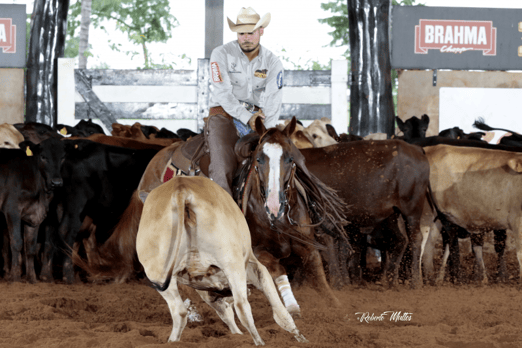 Derby & Derby Classic FGA 2019
