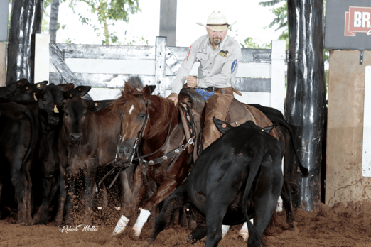 Derby & Derby Classic FGA 2019