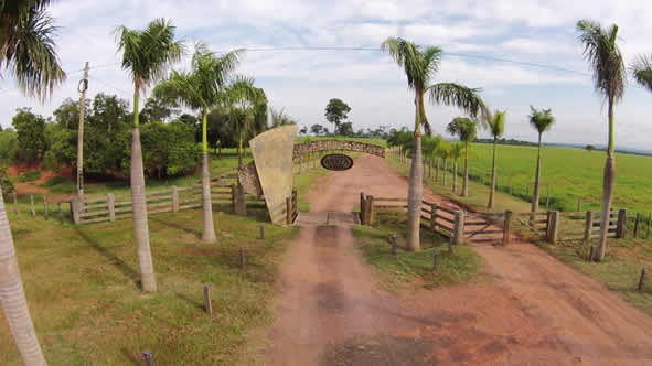 A Fazenda