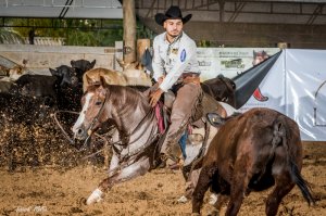 TÍTULOS "CAVALO DO ANO"